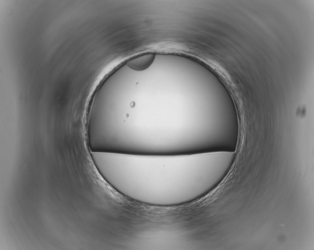 X0000091291248200708101019
