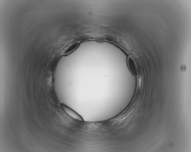 X0000091291251200708101018