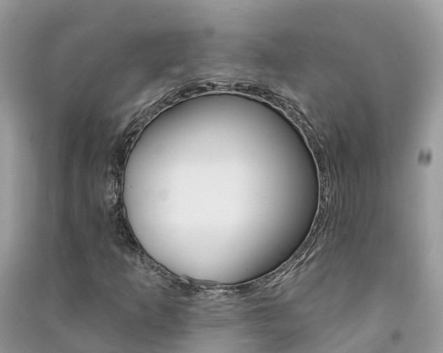 X0000091291253200708101018