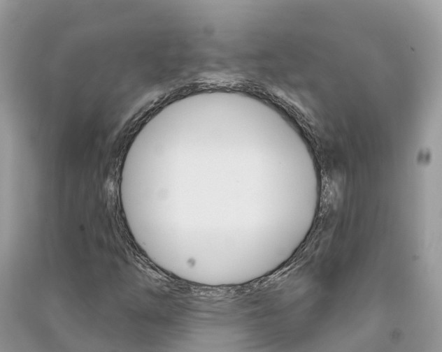 X0000091291254200708101018