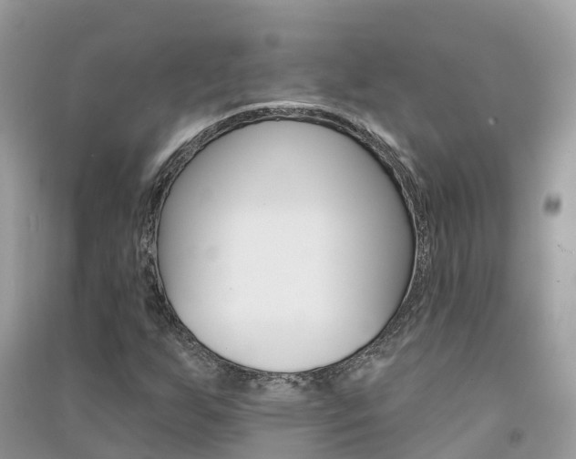 X0000091291255200708101018