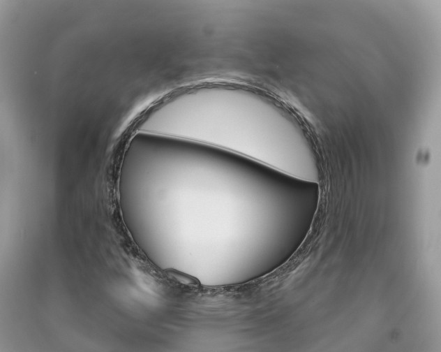 X0000091291256200708101018