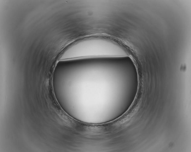X0000091291257200708101018