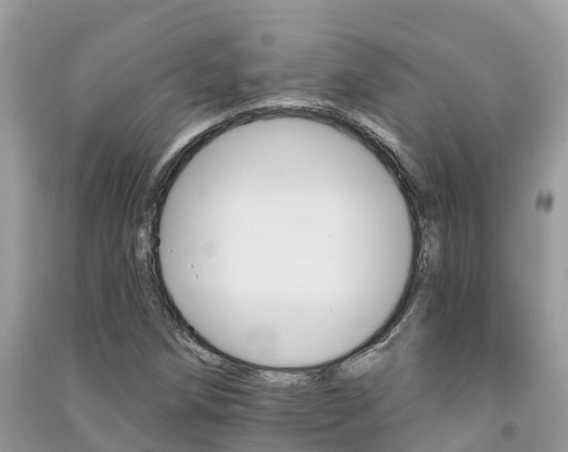 X0000091291258200708101018