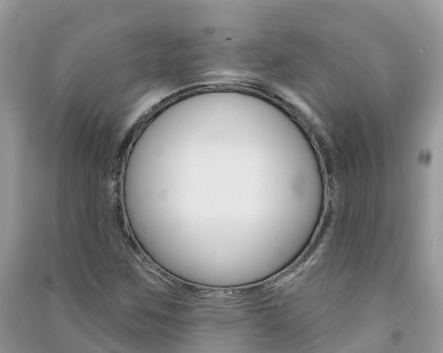 X0000091291259200708101018