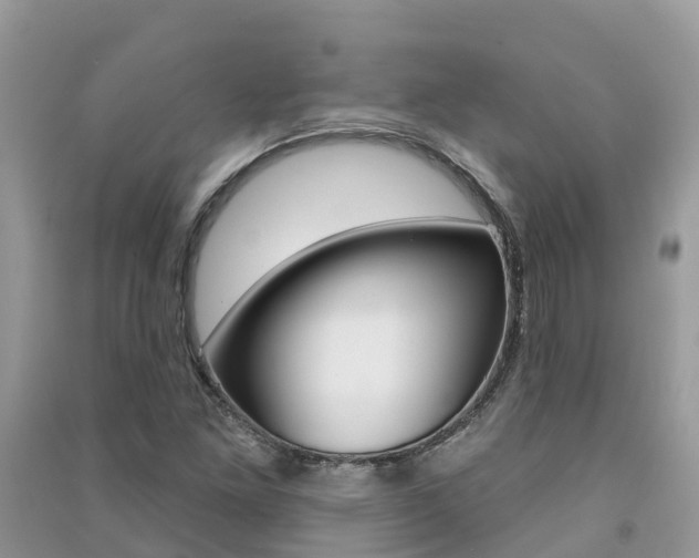 X0000091291261200708101018