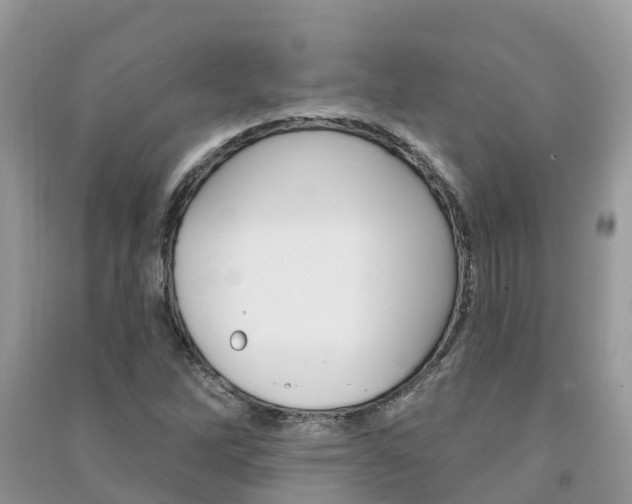 X0000091291262200708101018
