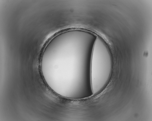 X0000091291264200708101018