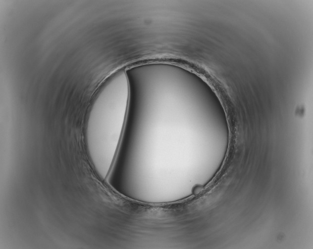 X0000091291265200708101018