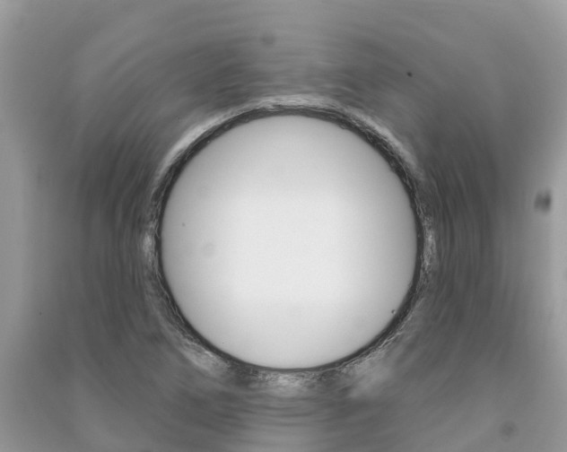 X0000091291266200708101018