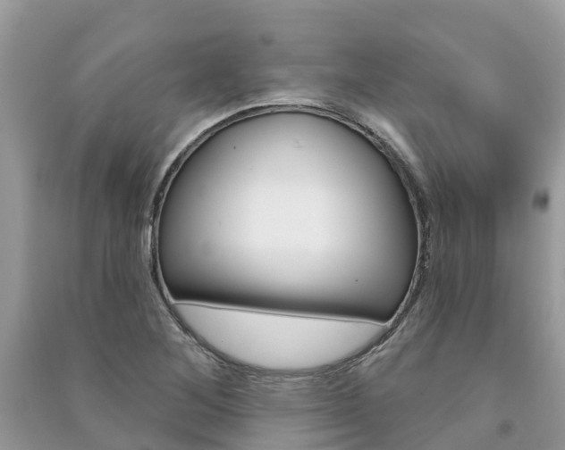 X0000091291268200708101018