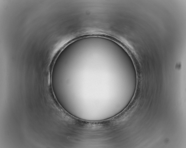 X0000091291269200708101018