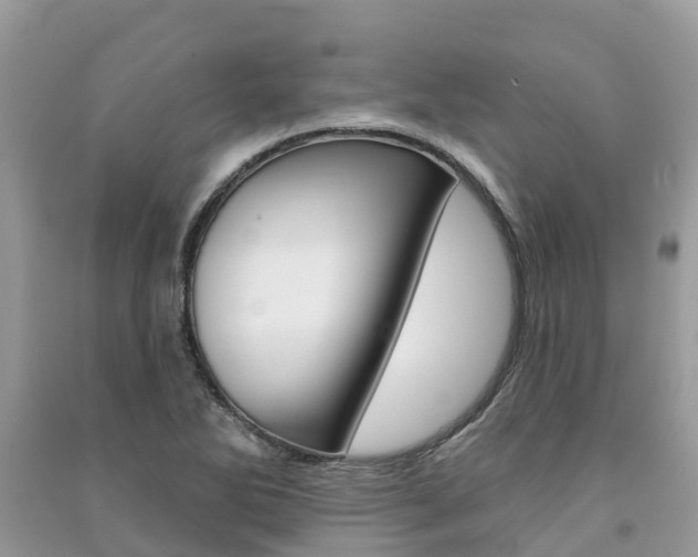 X0000091291270200708101018