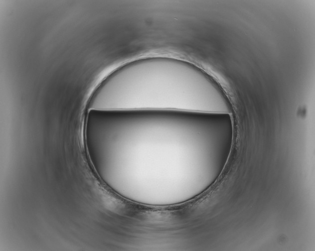 X0000091291272200708101018