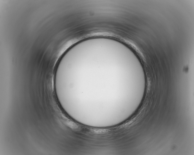 X0000091291274200708101018