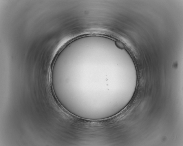X0000091291275200708101018
