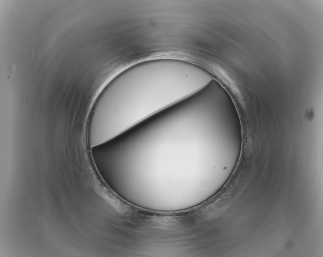 X0000091291276200708101018