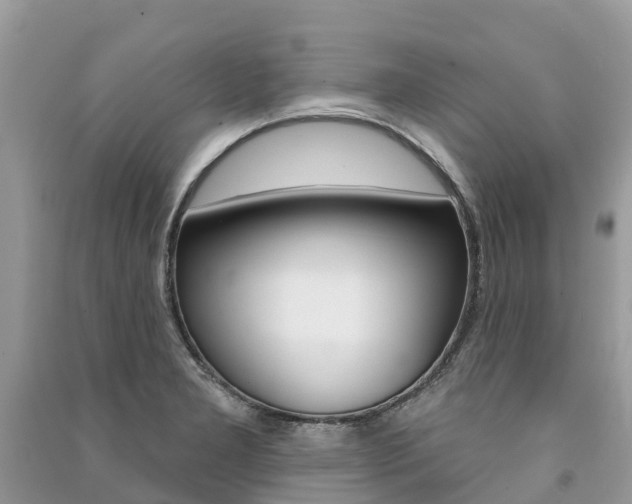 X0000091291277200708101018