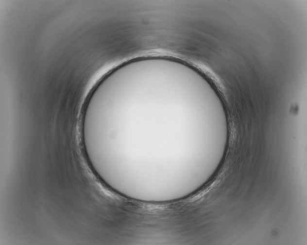 X0000091291278200708101018