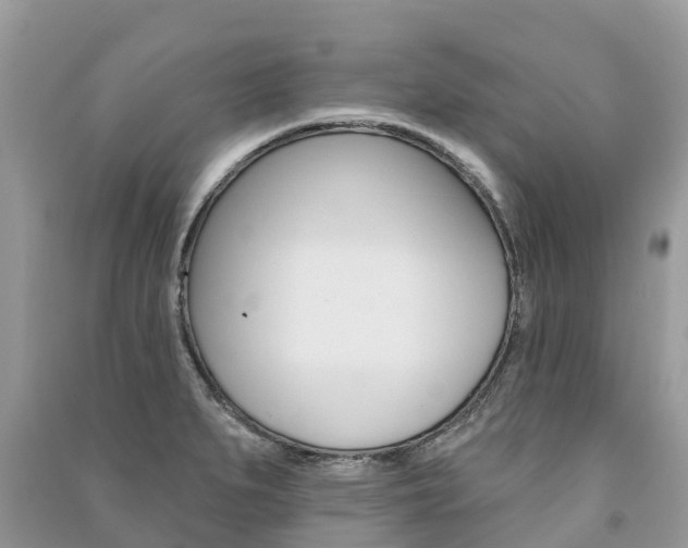 X0000091291279200708101018