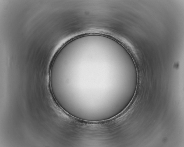 X0000091291280200708101018
