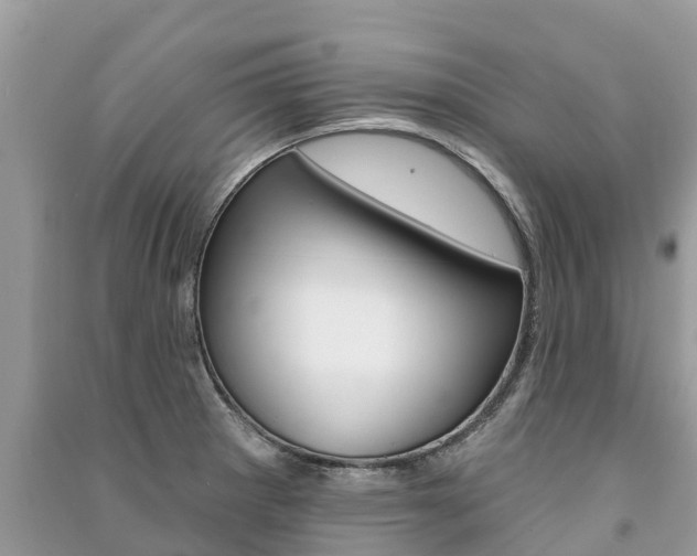 X0000091291281200708101018
