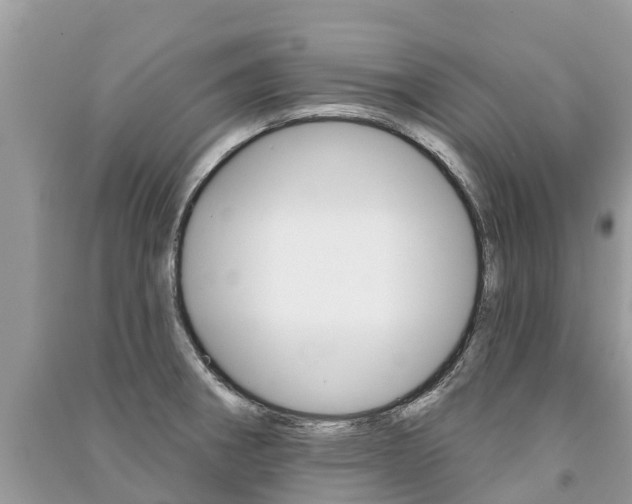 X0000091291282200708101018