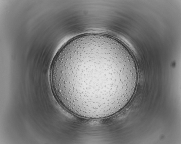 X0000091291283200708101018