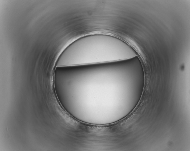 X0000091291284200708101018