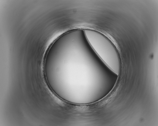 X0000091291285200708101018