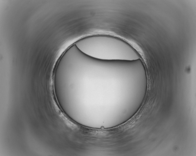 X0000091291287200708101018