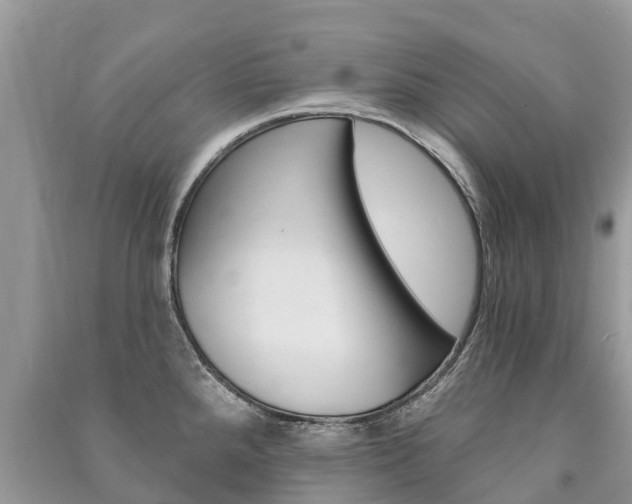 X0000091291288200708101018