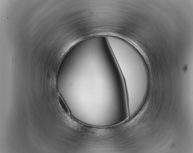 X0000091291289200708101018