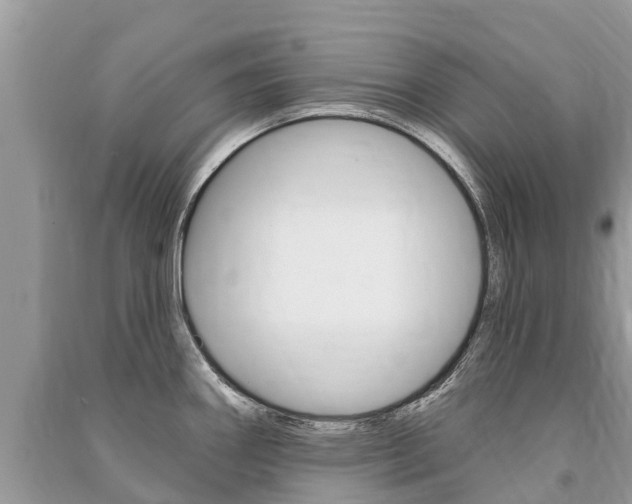 X0000091291290200708101018