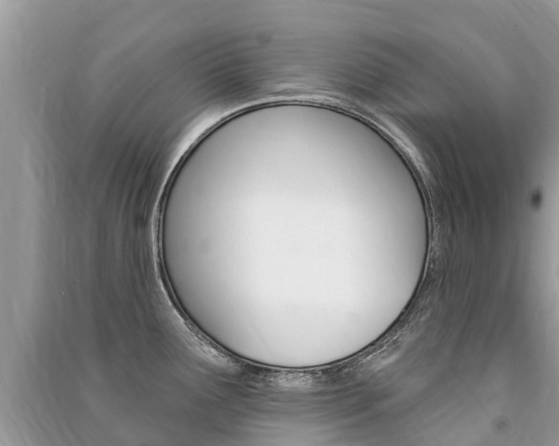 X0000091291291200708101018