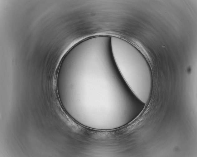 X0000091291292200708101018