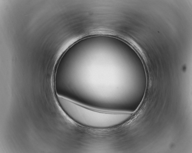 X0000091291293200708101018