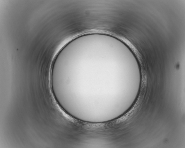 X0000091291294200708101018