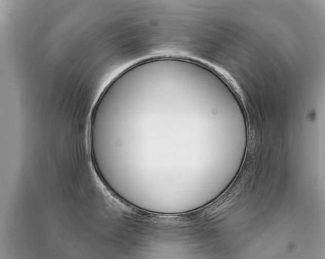 X0000091291295200708101018