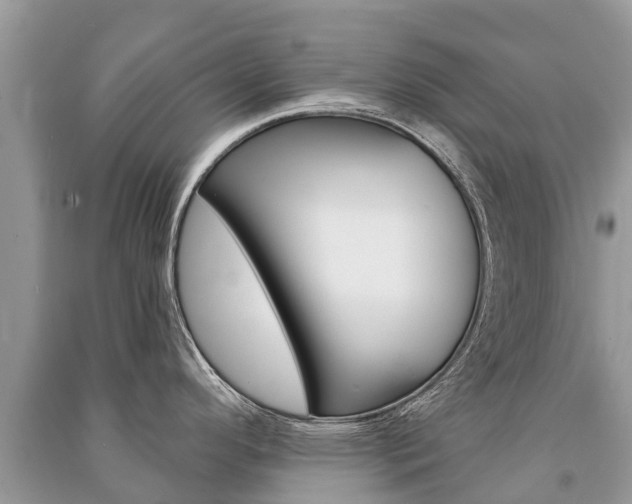 X0000091291296200708101018