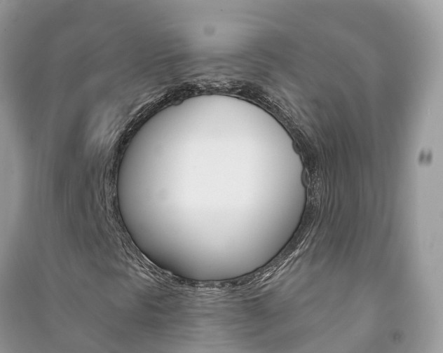 X0000091291297200708101017