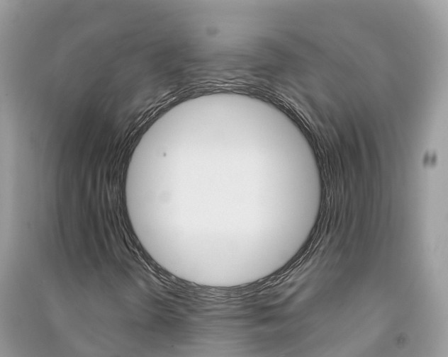 X0000091291298200708101017