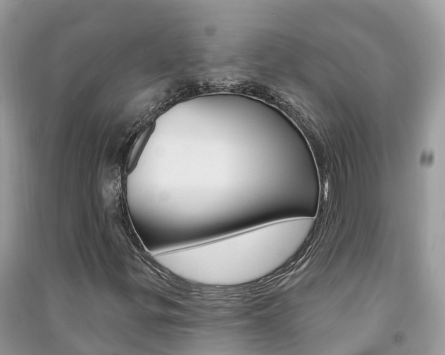 X0000091291299200708101017