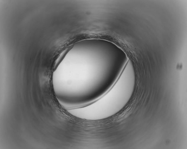 X0000091291300200708101017