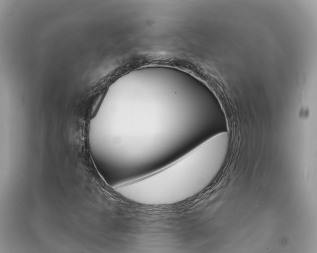 X0000091291301200708101017