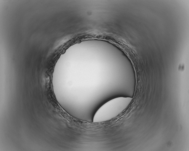 X0000091291302200708101017