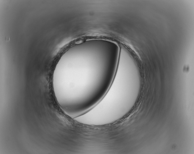 X0000091291304200708101017