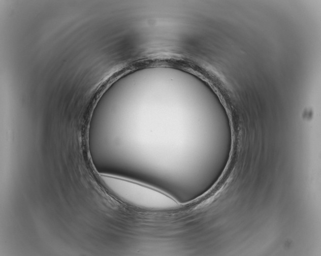 X0000091291305200708101017