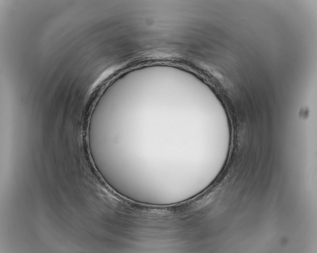 X0000091291306200708101017