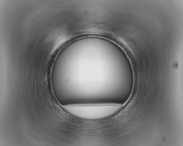 X0000091291307200708101017